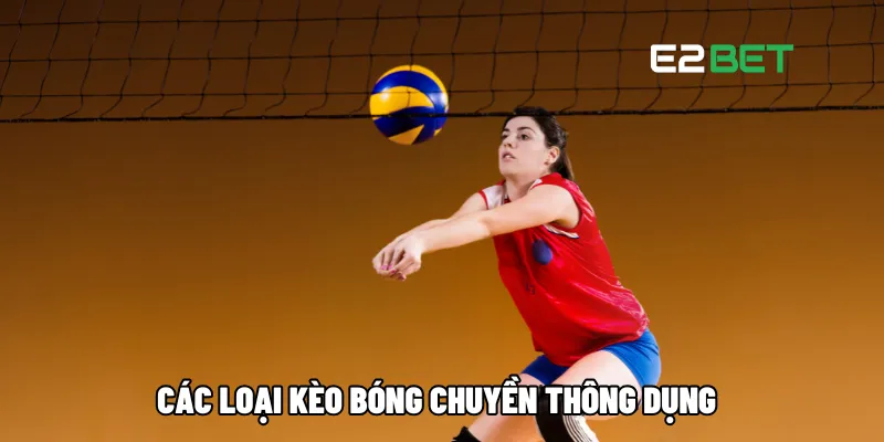 Các loại kèo bóng chuyền thông dụng